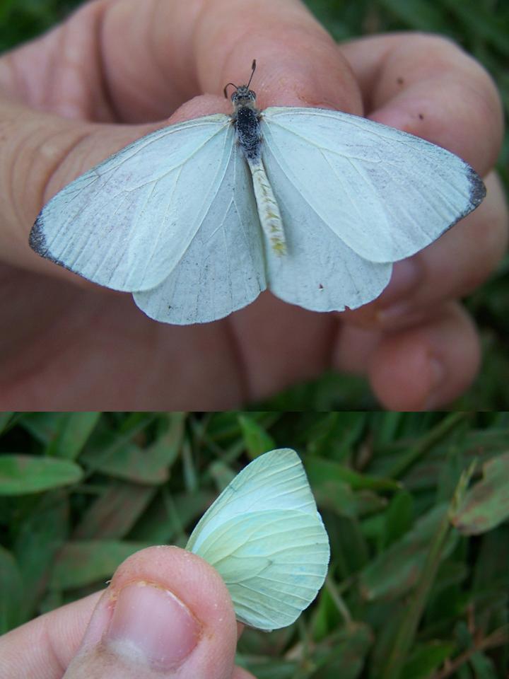 FIGURE 2 FIGURE 2